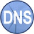 Simple DNS Plus（DNS服务