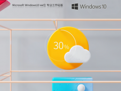 【支持高级工作负载】Windows10 22H2 64位 专业工作站版